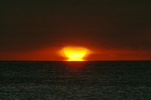 123103708131016411295